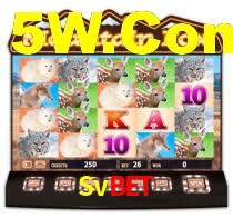 Svbet Login